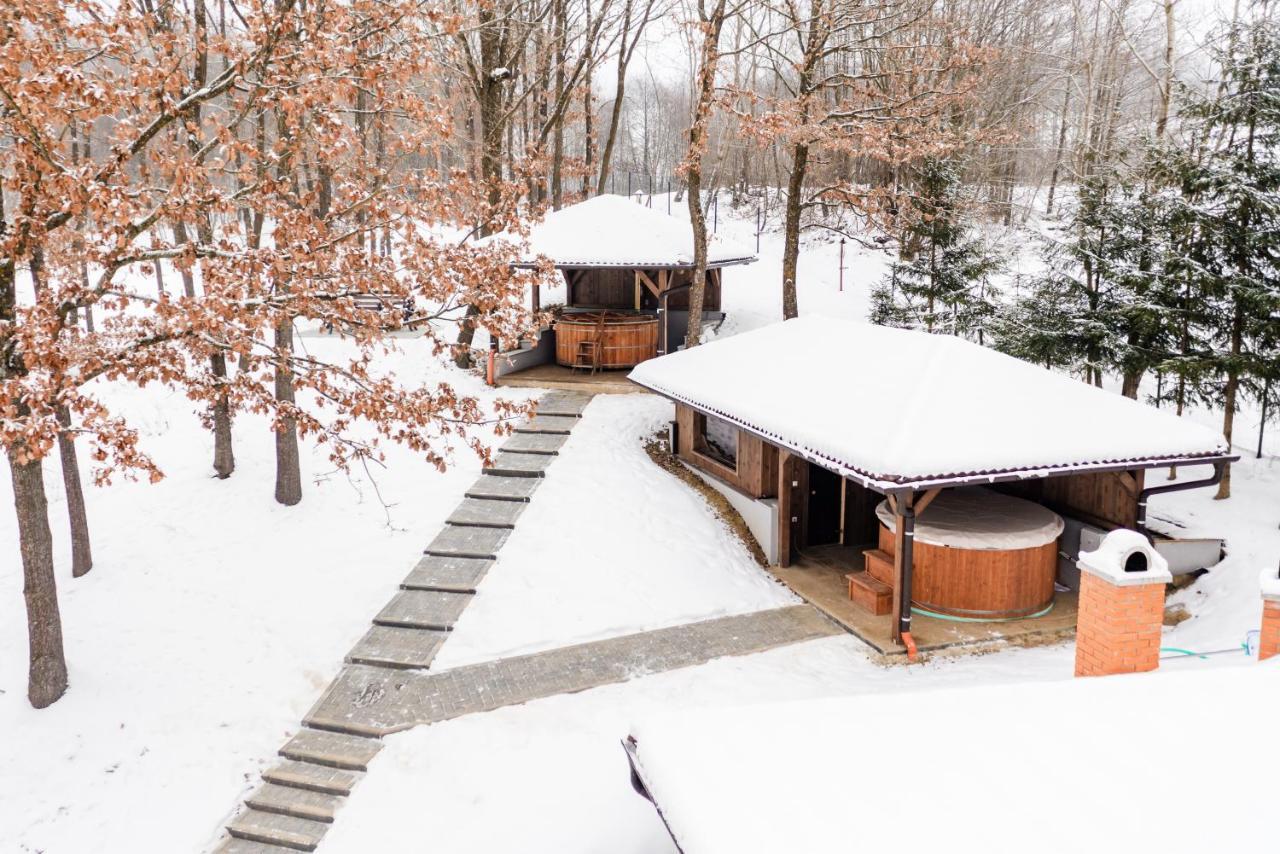 Transylvanian Relax House Lupeni  Luaran gambar