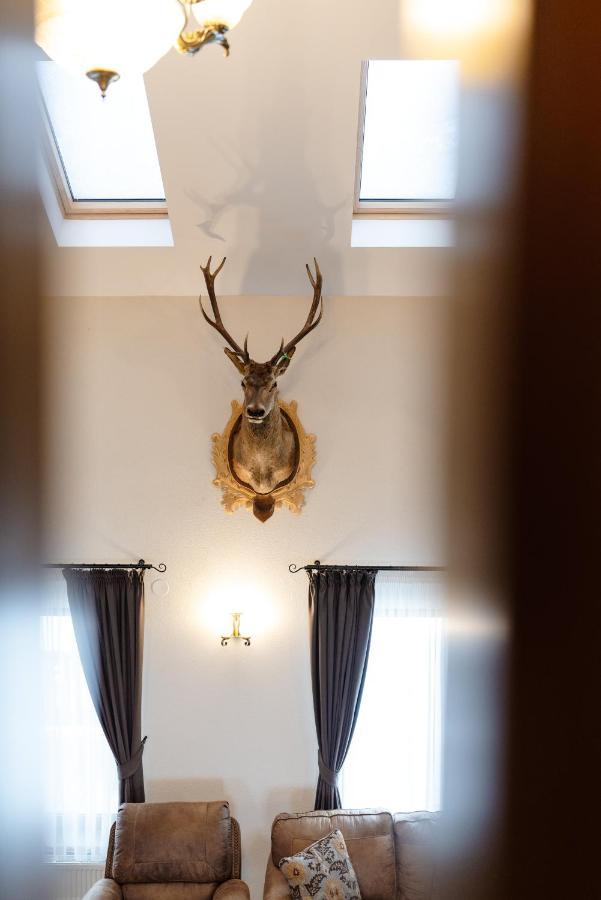 Transylvanian Relax House Lupeni  Luaran gambar