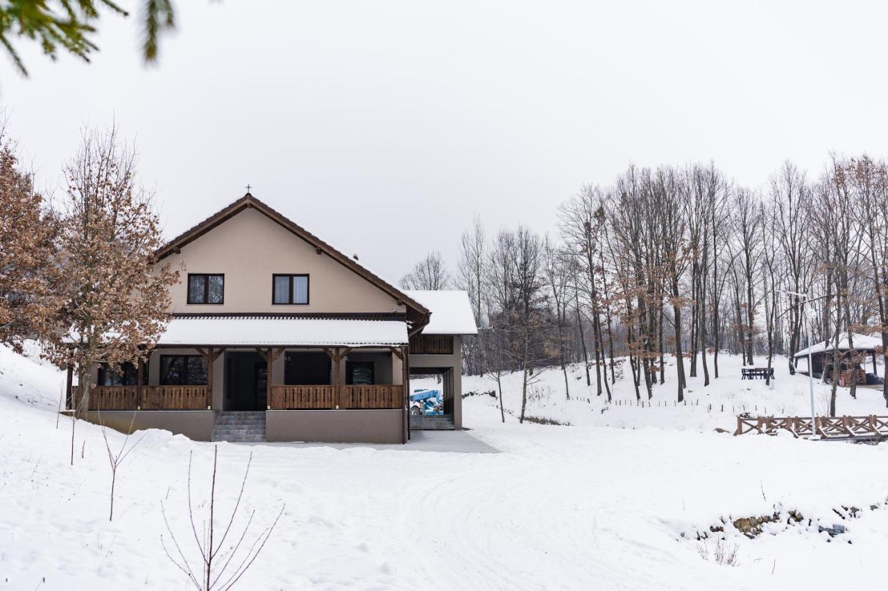 Transylvanian Relax House Lupeni  Luaran gambar