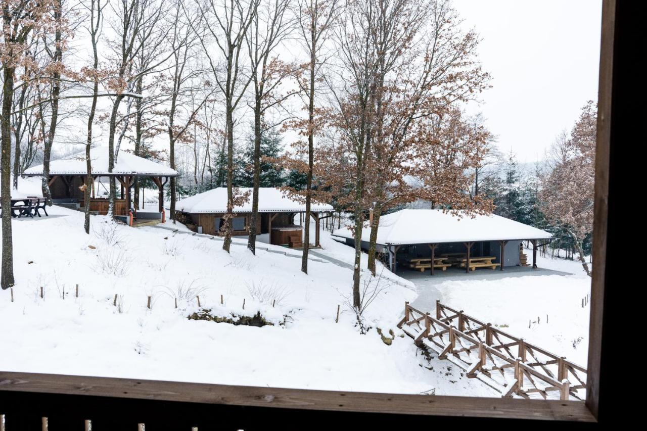 Transylvanian Relax House Lupeni  Luaran gambar